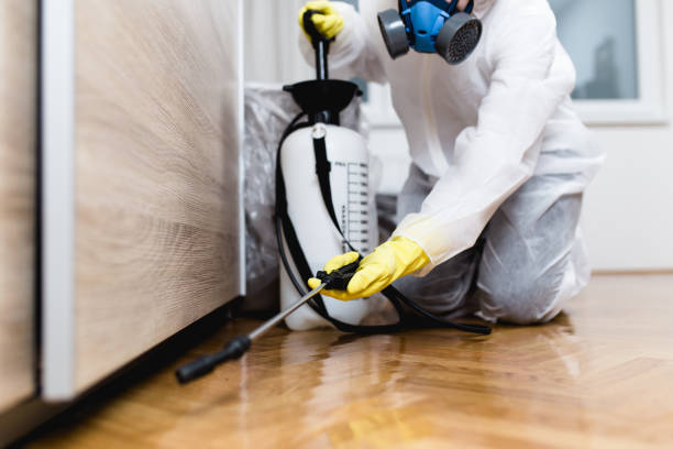 Best Emergency Pest Control  in Jennings Lodge, OR