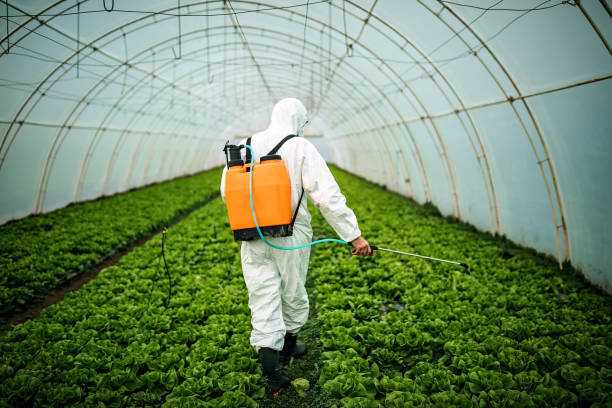 Professional Pest Control in Jennings Lodge, OR