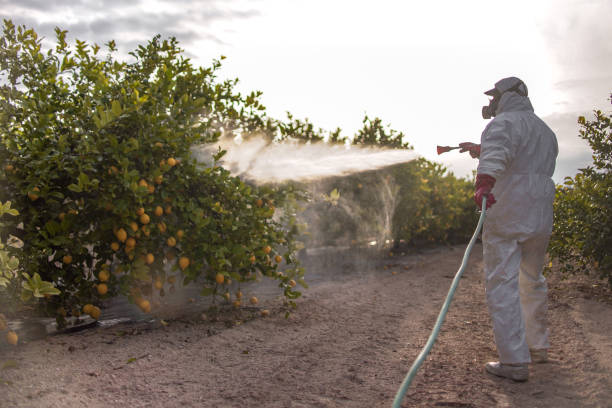 Best Pest Control Treatment  in Jennings Lodge, OR