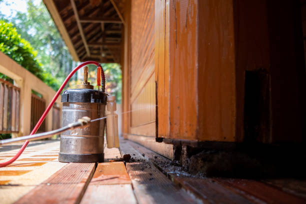 Best Local Pest Control Services  in Jennings Lodge, OR